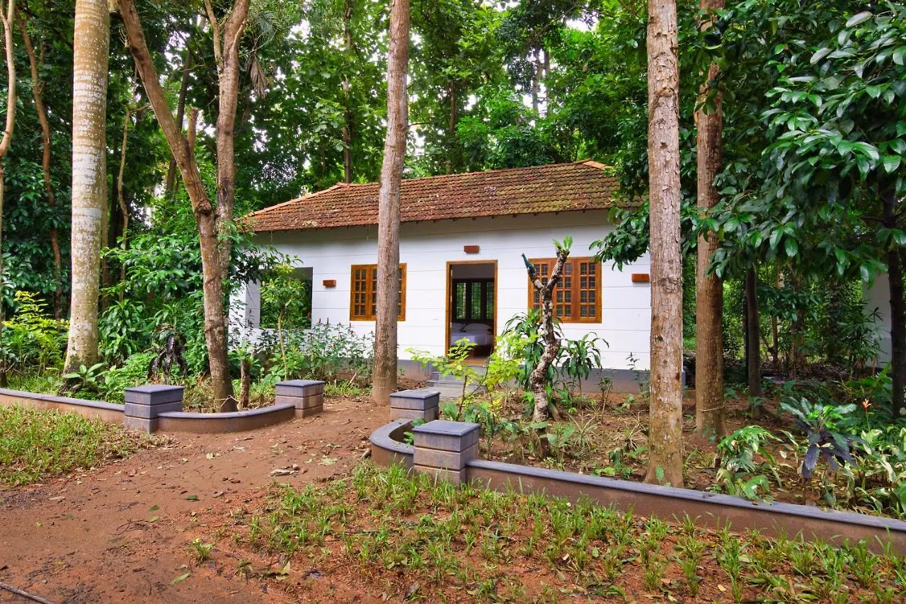 Resort Softouch Ayurveda Village Kerala Kizhake Chālakudi